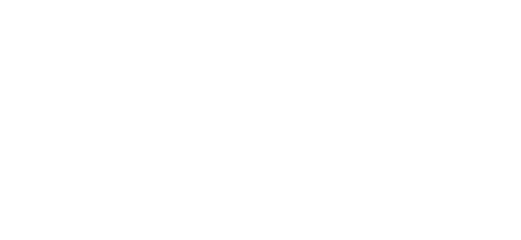 LCS Logo